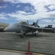 タケ