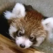 ひろ
