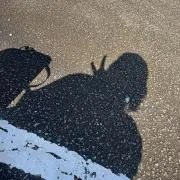 M✩.*˚
