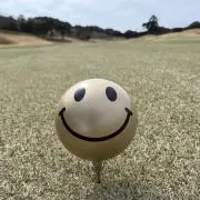 くまっちの画像