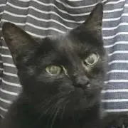 ミルク