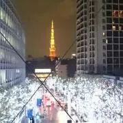 きいろ