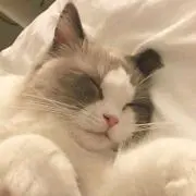 haruの画像