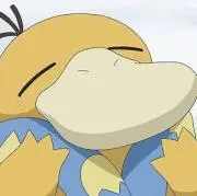 さぁちゃんの画像