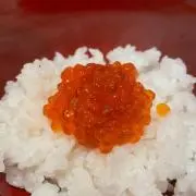 ろきの画像