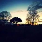 sanok