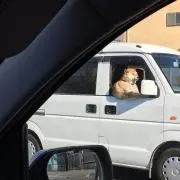 こまさん