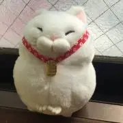 みーたんの画像