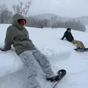 とめの画像