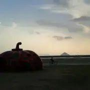 ヴィッテル