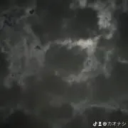 KORG