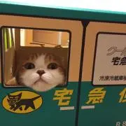 akの画像