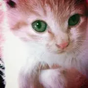 【クローゼット整理中】mico♡