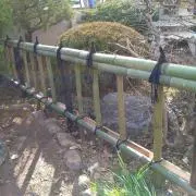 お稲荷3　プロフィール必読の画像