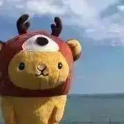 imomoの画像