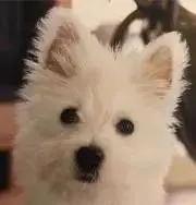 耀子 プロフご覧下さい!の画像