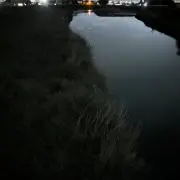 ちゃんの画像