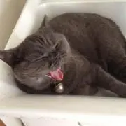 T.Ｍ