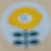 マロンミッフィーの画像