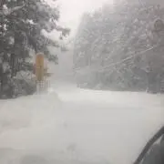 タルル