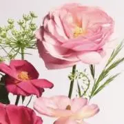 mrokyの画像