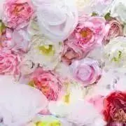 ☺︎☺︎プロフィールご覧ください☺︎☺︎の画像