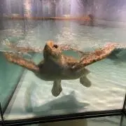 えんの画像