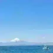 tsukiの画像
