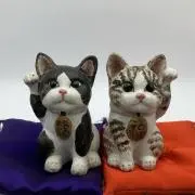 音菜堂の画像