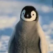ぺん