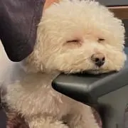ここいん_プロフ必読の画像