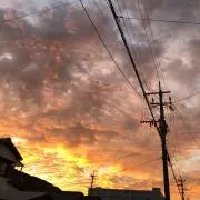 ma.の画像