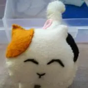 ひろちゃんの画像