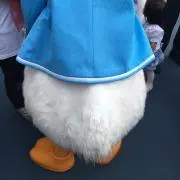 もちこ＊断捨離中＊の画像