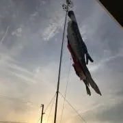 CHICHI3737の画像