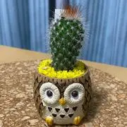 かつひろ