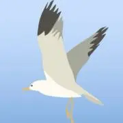 NAGI⛵️の画像