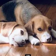 じゅんじゅんの画像