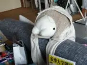 ゆちょ　8月9日〜12日は発送等対応不可の画像