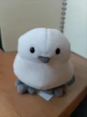 ポチっち｜スピード発送⚡の画像