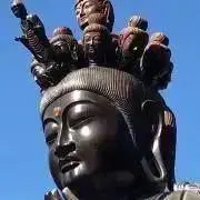 めんめんの画像
