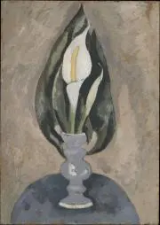 彩