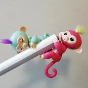 Mdaisの画像