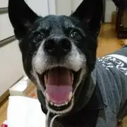 kenta loveの画像
