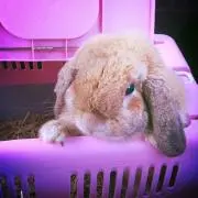ゆっけ♡