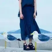 mirin_merの画像