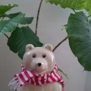 ちこの画像