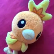 あちゃもの画像