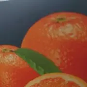 メリーの画像