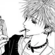 きの太郎の画像